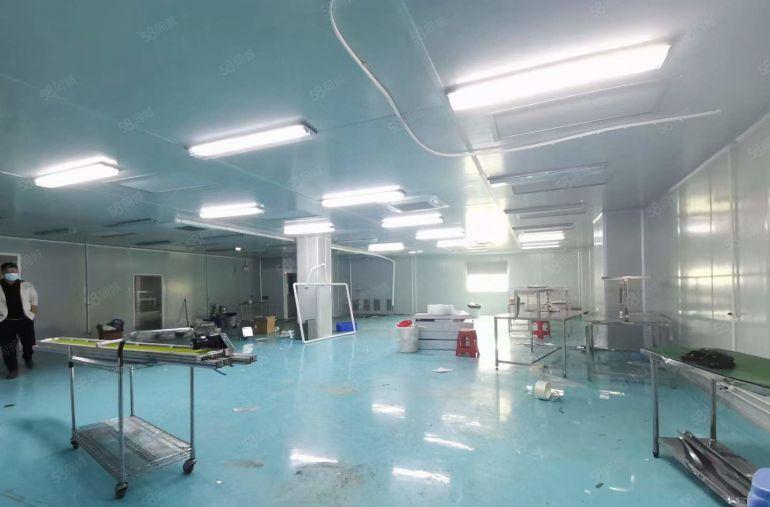 石鼓工业区新出无尘车间750平豪华办公室装修水电齐全拎包即可