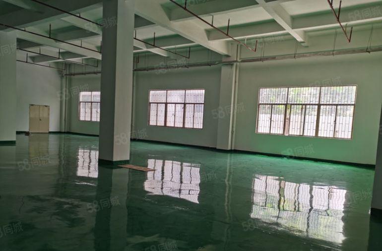 塘厦工业园内一楼780平仓库厂房出租，全新办公地坪漆可进大车