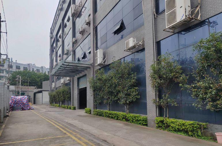 东莞塘厦原房东标准厂房一楼1100平方米实际面积出租