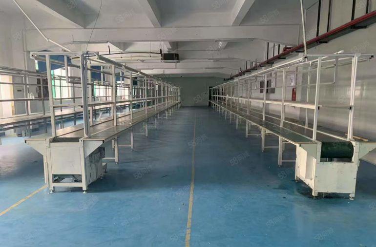 12全包塘厦楼上精装修厂房特价出租，超大实用空间现成办公水电