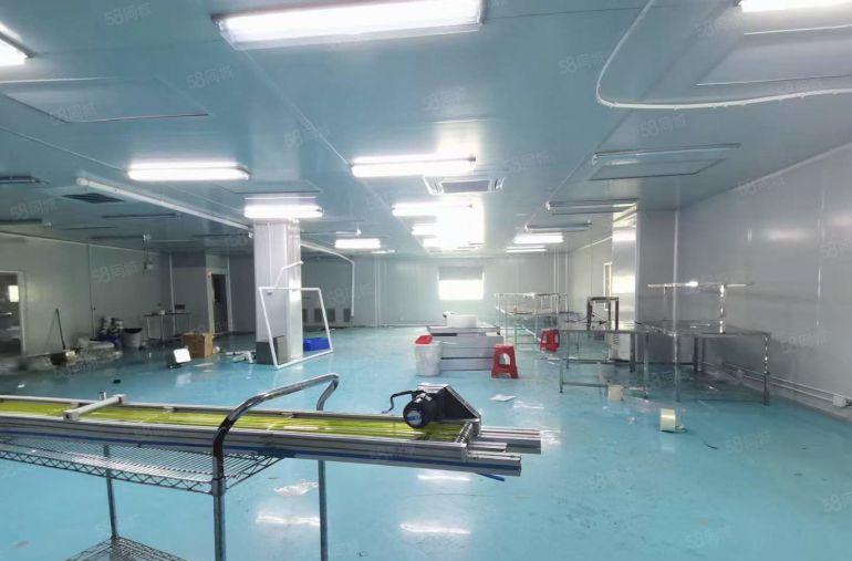 石鼓工业区新出无尘车间750平豪华办公室装修水电齐全拎包即可