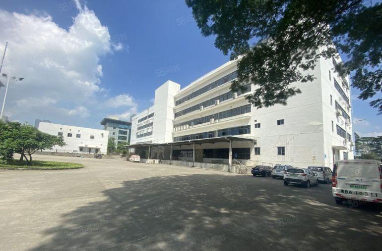 原房东带红本沙湖工业区新出楼上800平精装办公仓库厂房招租