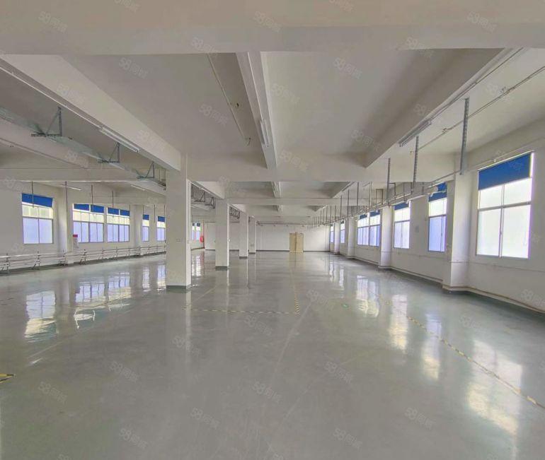 大坪原房东无杂费厂房出租，楼上950平水电已到车间 采光好