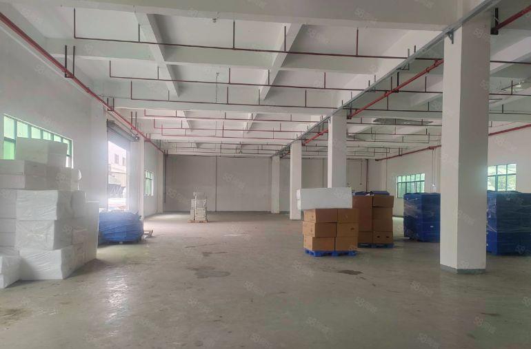 东莞塘厦石鼓原房东空置1楼1200平方米实际面积出租