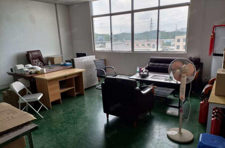 塘厦振兴围新出标准2楼450平，全层吊顶地坪漆装修，拎包入驻