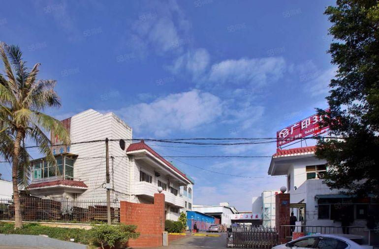 横塘园区位于大马路标准厂房出租一楼1200平适合各种五金行业