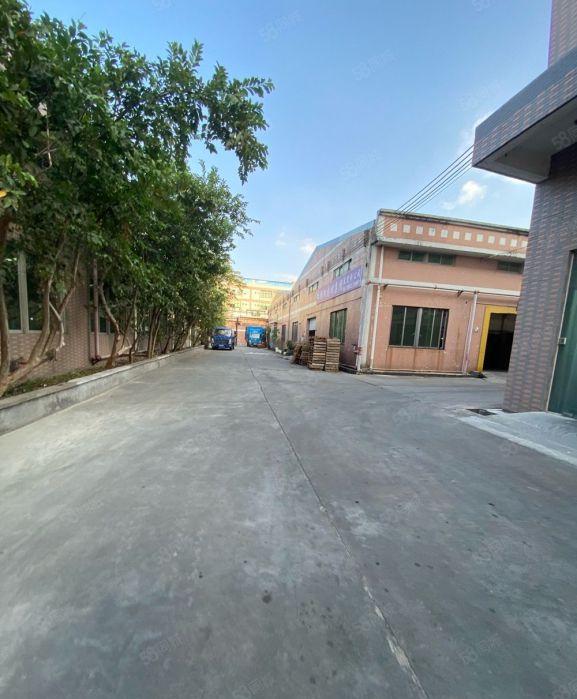 塘厦桥陇砖墙单一层4000平方！滴水8米！中间无柱子易规划