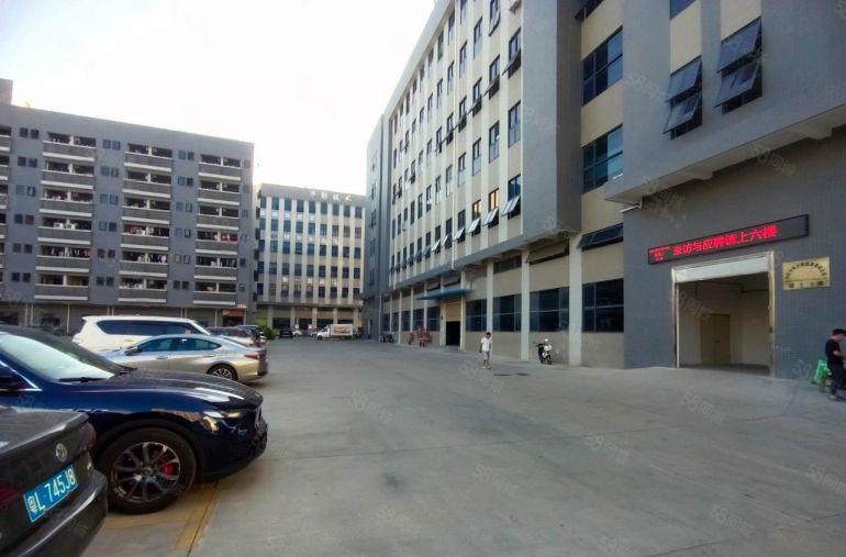 塘厦科苑城二楼电子电池装修厂房出租1150平米