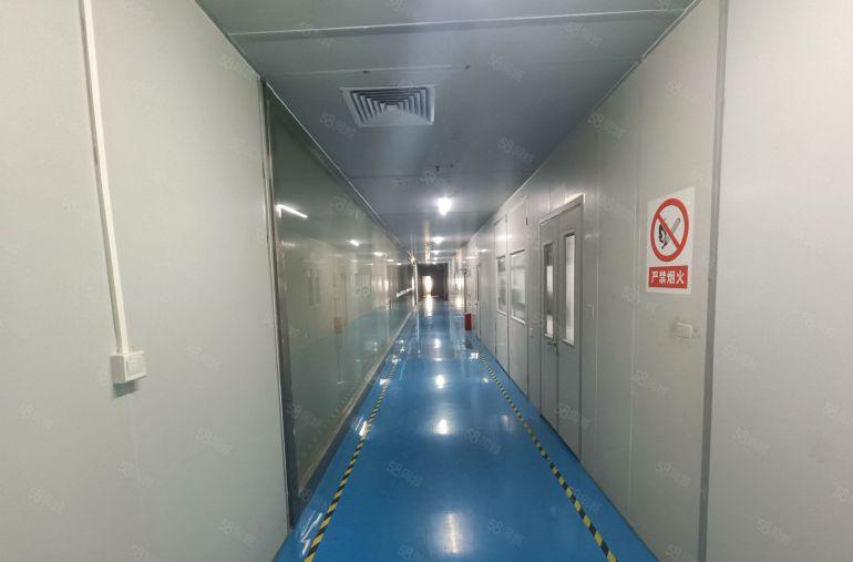 塘厦田心独院楼上无尘车间厂房仓库2000平，精装修低价出租