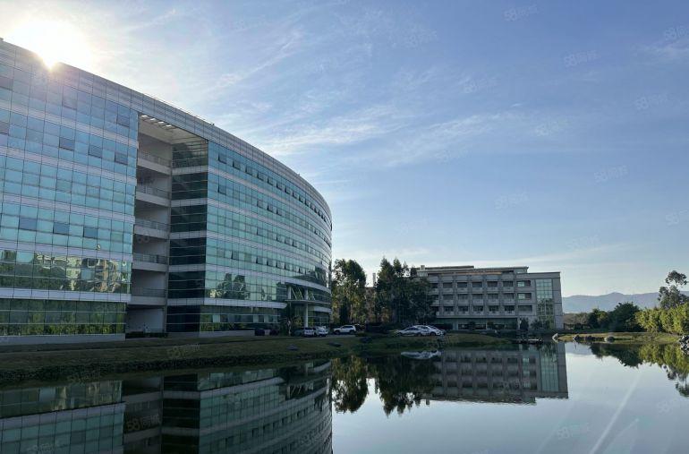 免租期6个月，12元起！单层面积3000平塘厦一房东2万直租