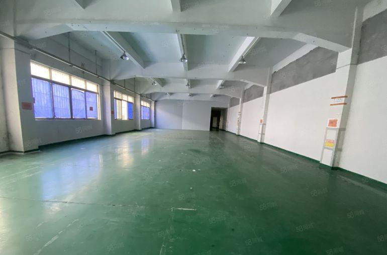 塘厦大坪新出独院标准3楼850平，全层地坪漆精装修，水电齐全