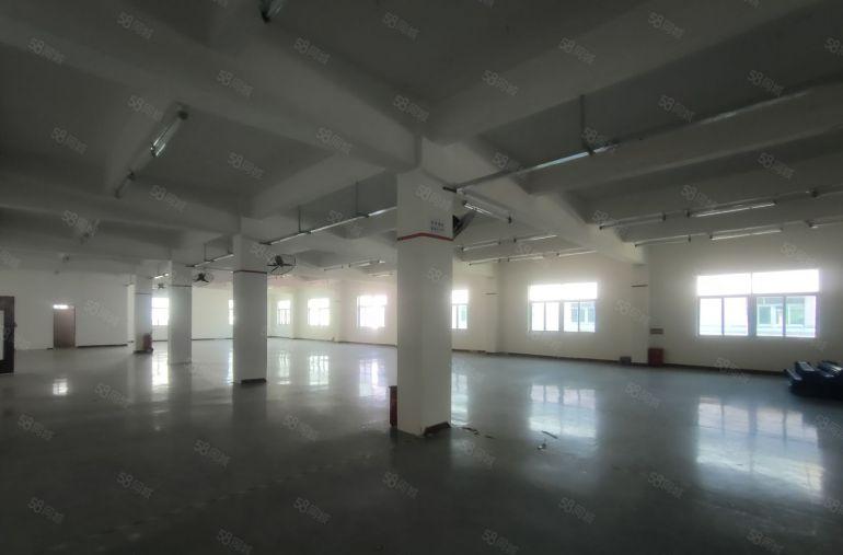 塘厦大坪工业区2000平方原房东仓库厂房出租500平方起分租