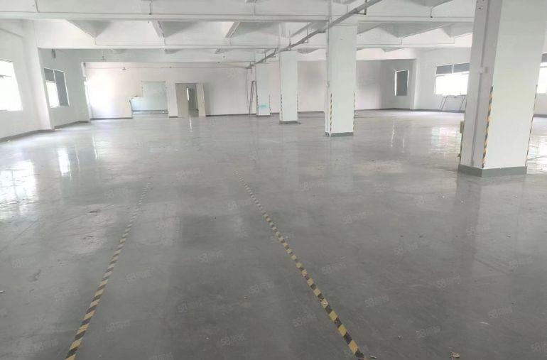 新出塘厦沙湖1800平方标准厂房，带办公室装修