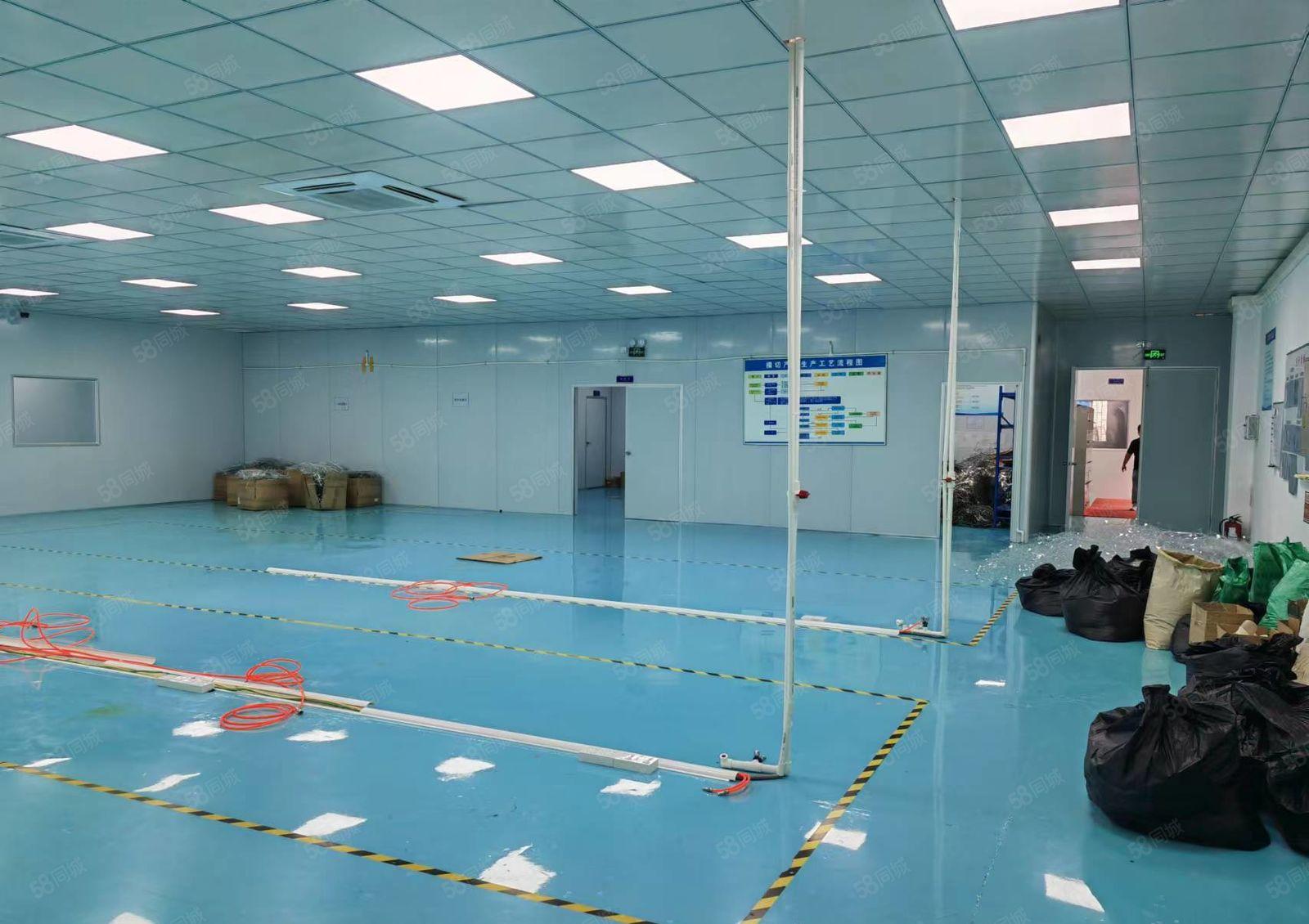 东城环城路桑园段（精装修）洁净车间（700）低价出租