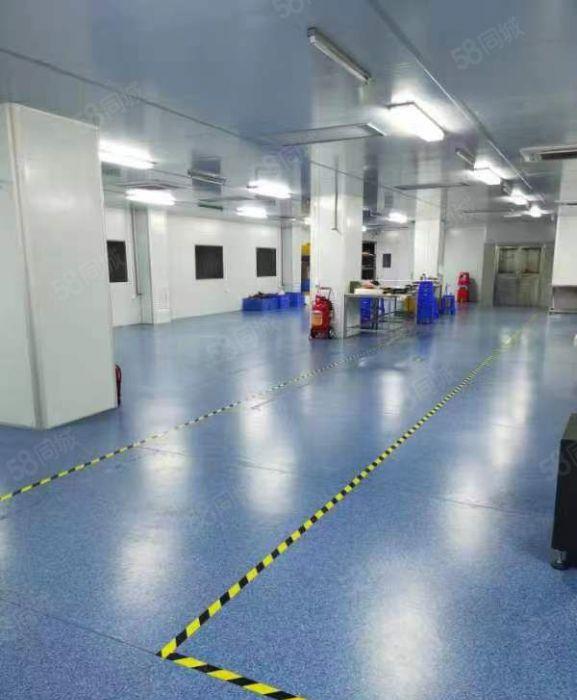 寮步镇厂房出租，原房东精装修无尘车间出租，价格便宜有货梯