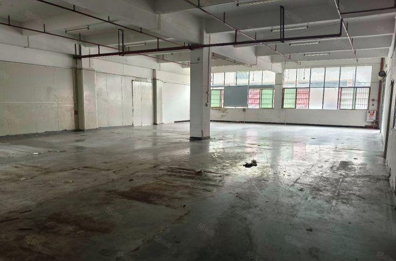 寮步西溪标准独院厂房一楼550平方出租 现成水电办公室