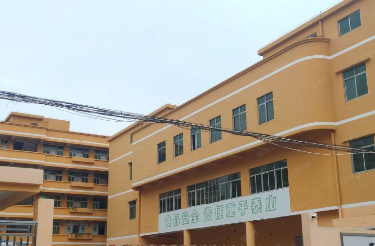 寮步 向西 路口 小厂房 700平方,8元急租！好招工