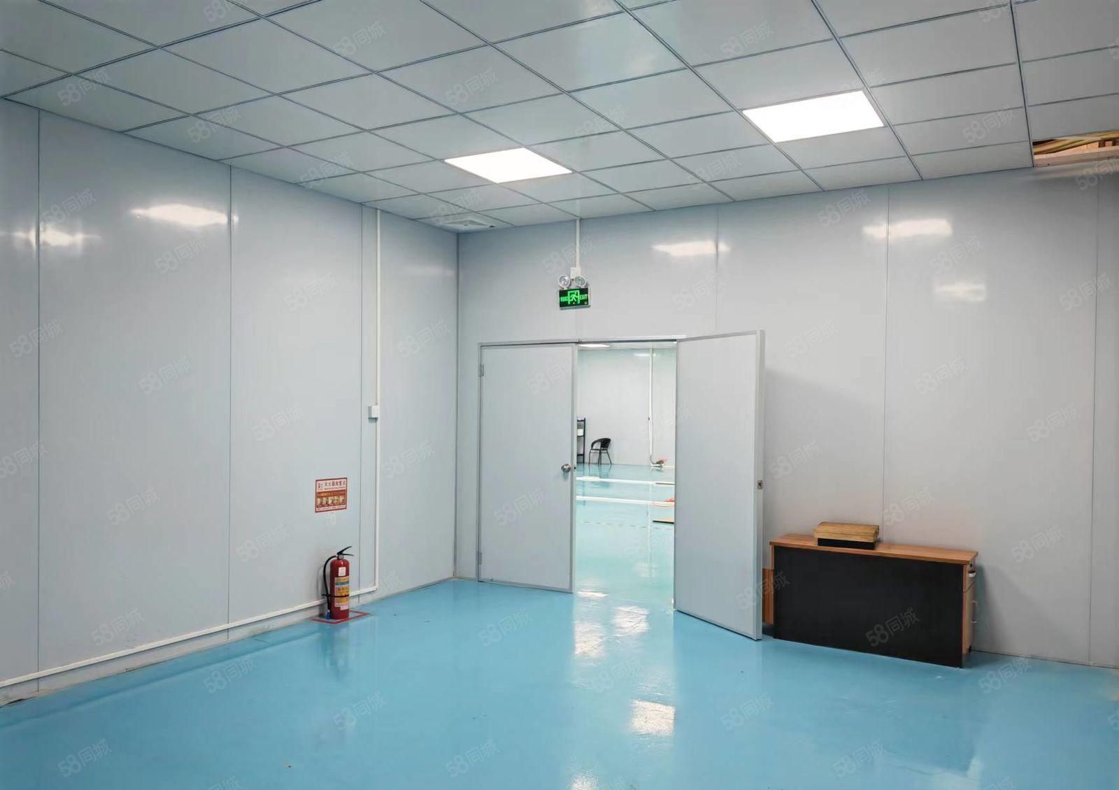 东城环城路桑园段（精装修）洁净车间（700）低价出租