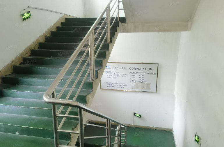 东莞寮步1800至7200平精装可整可分框架多层厂房