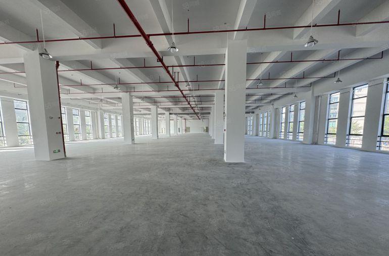 全新独院厂房29000平实际面积出租无公摊一楼八米高空地超大