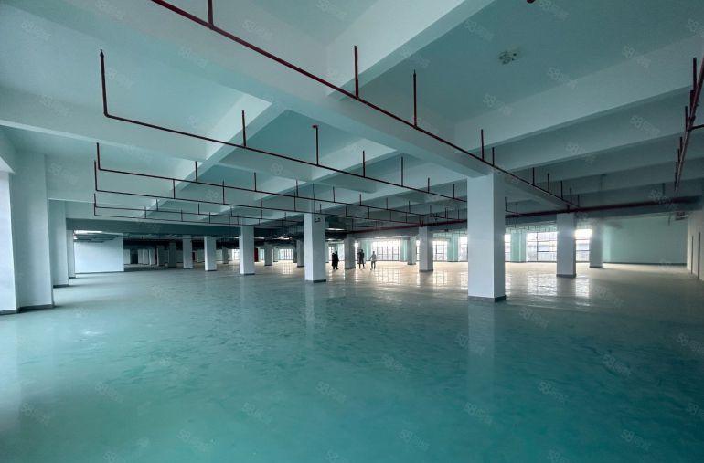 租金10元起可分租凤岗红本厂房低价出租5000平好招工