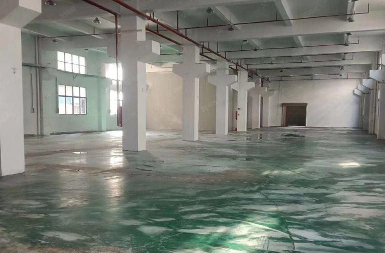 独院分租一楼二楼三楼）凤岗3000平米带牛角天棚独院厂房出租