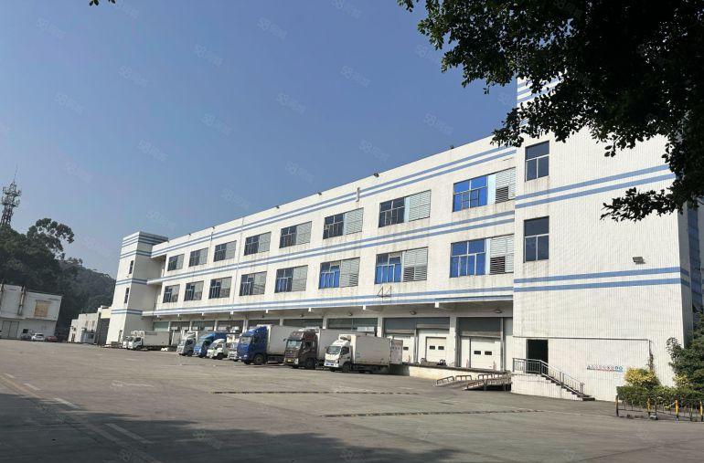 凤岗高速出口12000平带卸货平台单层40000平大小分租