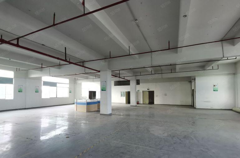 凤岗楼上600平1000平1500平出租可分租