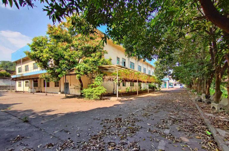 16块起租凤岗雁田靠平湖交界原房东独院厂房8000平