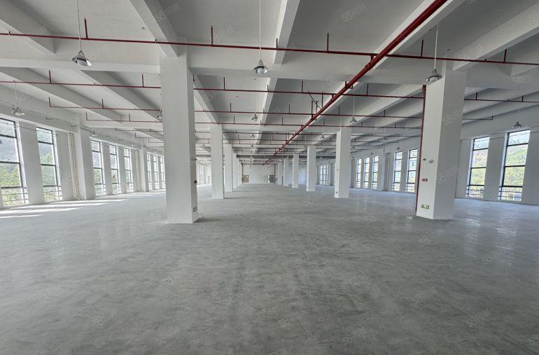 全新独院厂房29000平实际面积出租无公摊一楼八米高空地超大