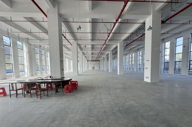 全新独院厂房29000平实际面积出租无公摊一楼八米高空地超大