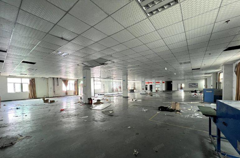 15块起凤岗五联靠平湖原房东独院厂房6000平可分租