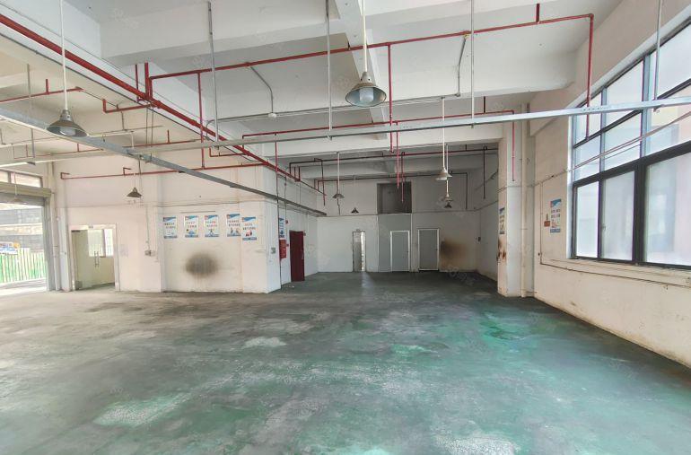 凤岗金凤凰标准一楼沿街500平租金24可谈，机加工，物流仓库