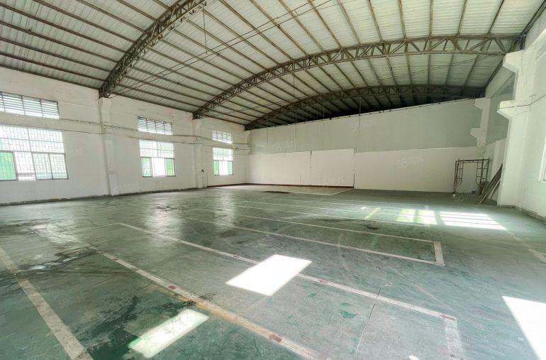 万江莫屋原房东550平方单一层厂房出租滴水8米门口开阔院子大