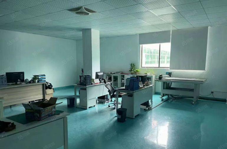 万江新空独院一手房东600至1000平单一层厂房