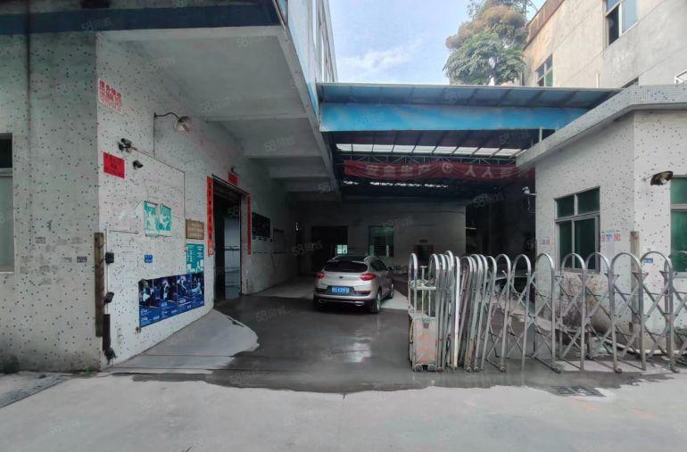 万江靠道滘1500平米一手房东独院厂房出租，价格14元平米