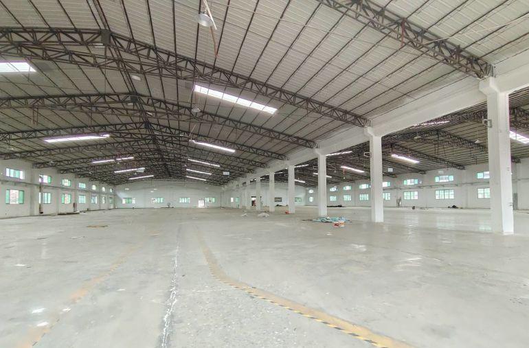 万江独院1500平单一层钢构厂房口罩机厂房低价出租滴水8米