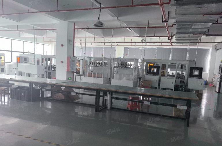 8元万江原房东全新厂房出租，配套齐全