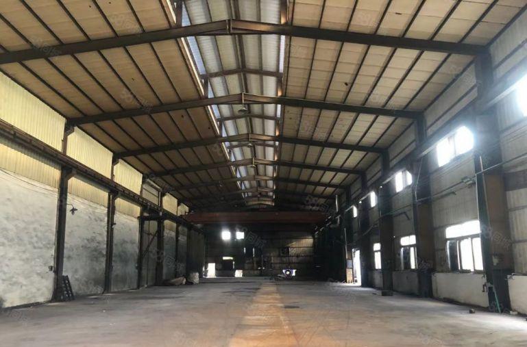 万江区新出独院转墙到顶单一层钢构厂房出租3380平方