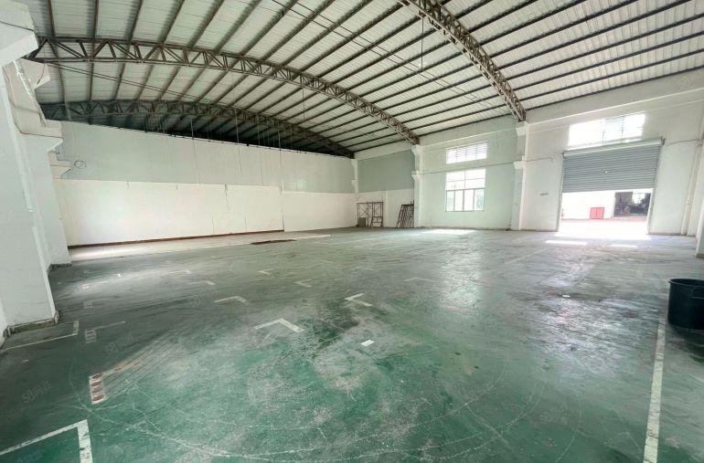 万江莫屋原房东550平方单一层厂房出租滴水8米门口开阔院子大