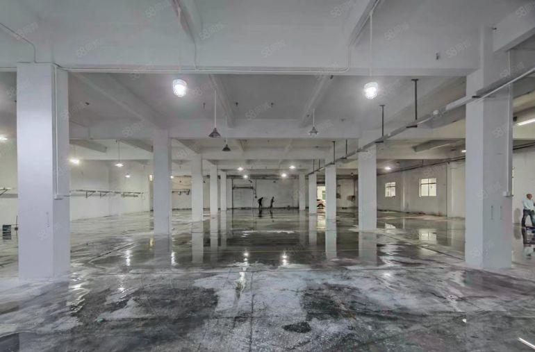 万江靠道滘1500平米一手房东独院厂房出租，价格14元平米