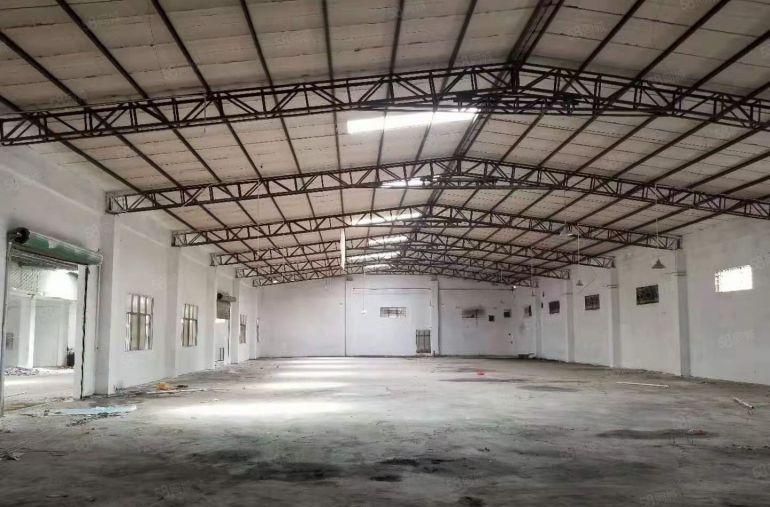 万江区新出独院转墙到顶单一层钢构厂房出租3380平方