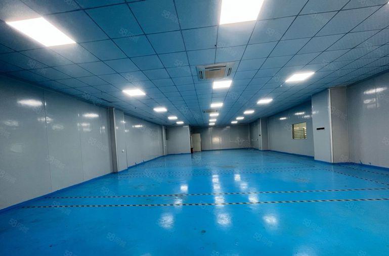 樟木头精装修小面积300平 500平  800平 低价出租