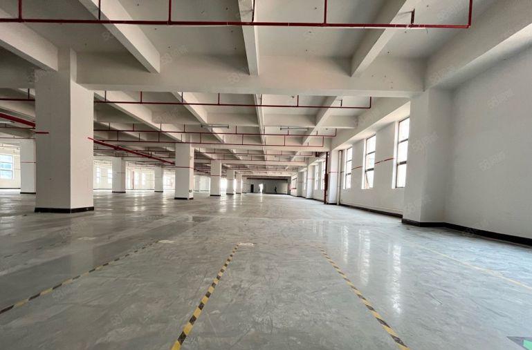 临近塘厦 樟木头樟洋原房东500平 1500平厂房出租 可分