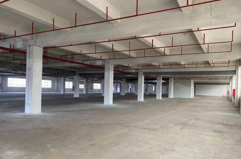 樟木头新空独院，高9米带10吨航车厂房出租，形象好 空地超大