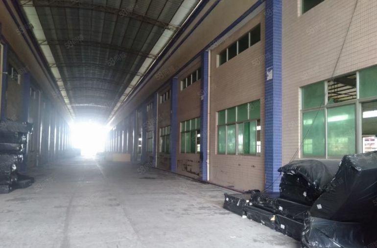 大朗新出原房东单一层独院12000平高度8米大小可分租