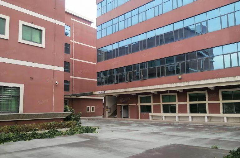 大朗靠近松山湖独院红本厂房2.5万方带精装修招租，可分租