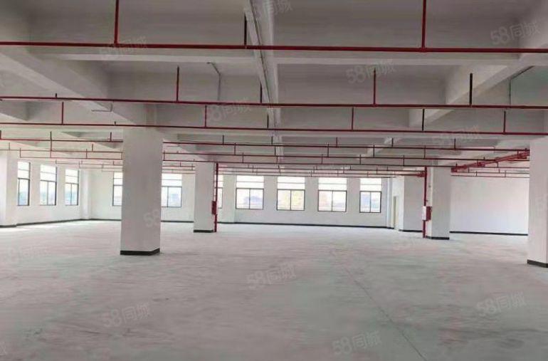 大朗新出（一手原房东）标准厂房1200平