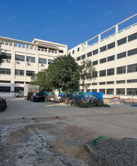 东莞大朗镇原房东厂房出租20000平方独门独院出租可以分租