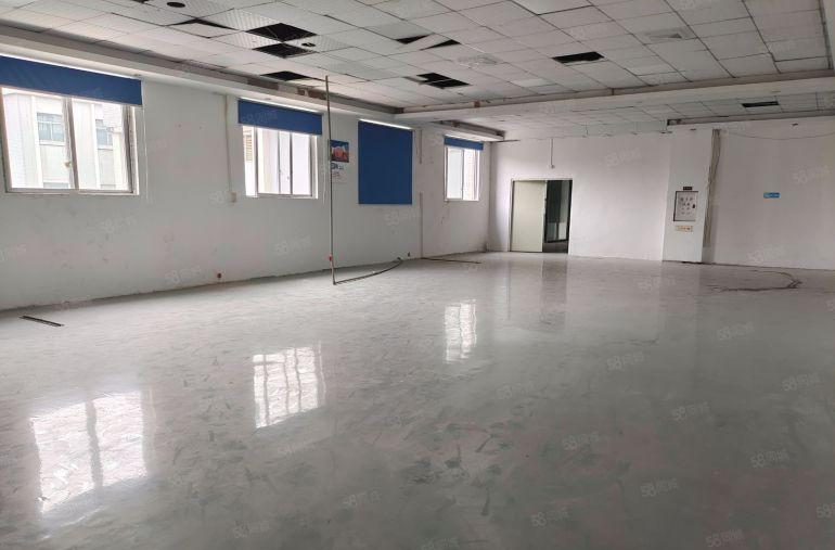 大朗松柏朗旁950平厂房出租 精装修 带办公室车间 优惠多